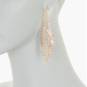 Crystal Drop Earrings
Tasha NWOT